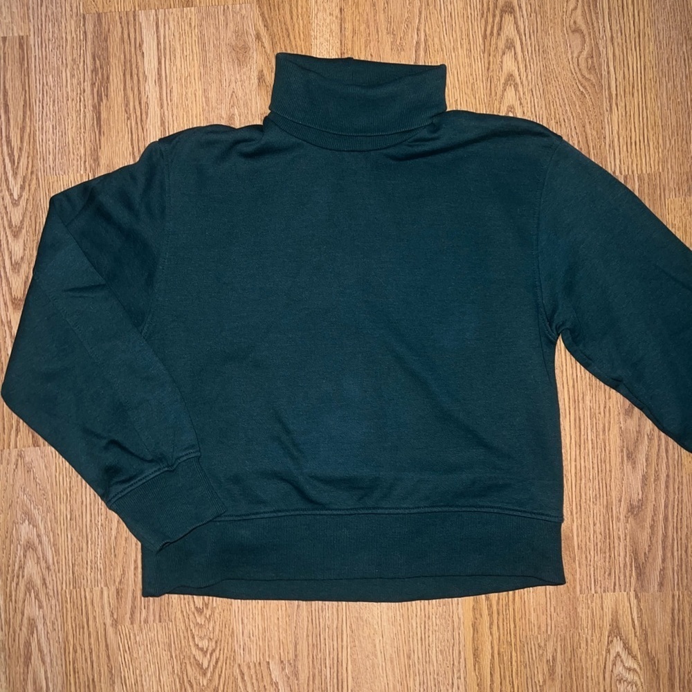 Zara Turtleneck